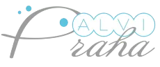 Alvi-Prague Moldova